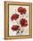 Poppy Bouquet III-Emma Scarvey-Framed Stretched Canvas