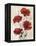 Poppy Bouquet III-Emma Scarvey-Framed Stretched Canvas