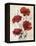 Poppy Bouquet III-Emma Scarvey-Framed Stretched Canvas