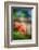 Poppy By the Fence-Ursula Abresch-Framed Photographic Print