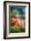 Poppy By the Fence-Ursula Abresch-Framed Photographic Print