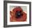 Poppy, c.1927-Georgia O'Keeffe-Framed Art Print