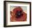 Poppy, c.1927-Georgia O'Keeffe-Framed Art Print