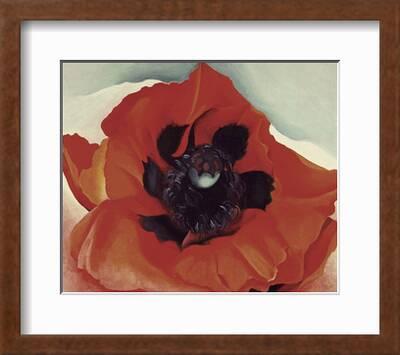 Red Poppy Flower O'keeffe Reproduction Canvas Art Poster Print 