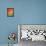 Poppy, camomile and larkspur-Herbert Kehrer-Framed Premier Image Canvas displayed on a wall