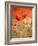 Poppy, camomile and larkspur-Herbert Kehrer-Framed Photographic Print