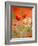 Poppy, camomile and larkspur-Herbert Kehrer-Framed Photographic Print