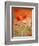 Poppy, camomile and larkspur-Herbert Kehrer-Framed Photographic Print