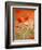 Poppy, camomile and larkspur-Herbert Kehrer-Framed Photographic Print
