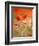 Poppy, camomile and larkspur-Herbert Kehrer-Framed Photographic Print