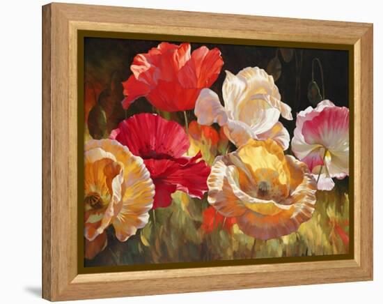 Poppy Celebration-Emma Styles-Framed Stretched Canvas