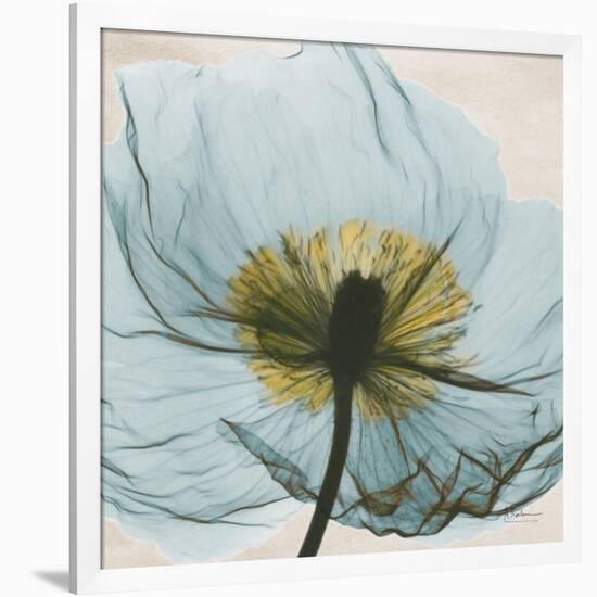 Poppy Close-Up-Albert Koetsier-Framed Premium Giclee Print