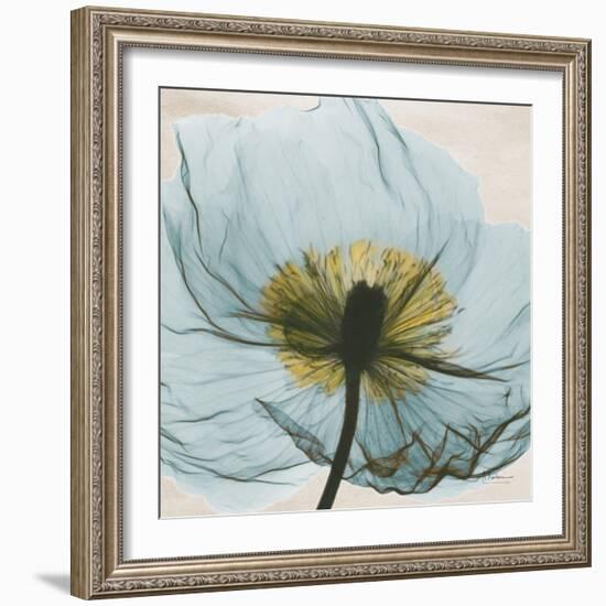 Poppy Close-Up-Albert Koetsier-Framed Art Print