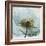 Poppy Close-Up-Albert Koetsier-Framed Art Print