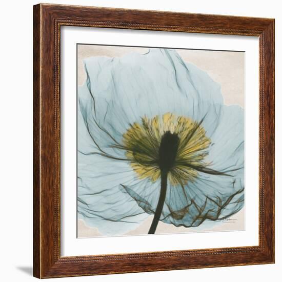 Poppy Close-Up-Albert Koetsier-Framed Art Print