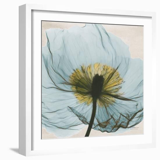 Poppy Close-Up-Albert Koetsier-Framed Art Print