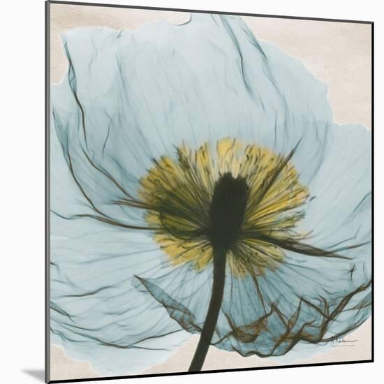 Poppy Close-Up-Albert Koetsier-Mounted Art Print