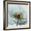 Poppy Close-Up-Albert Koetsier-Framed Art Print