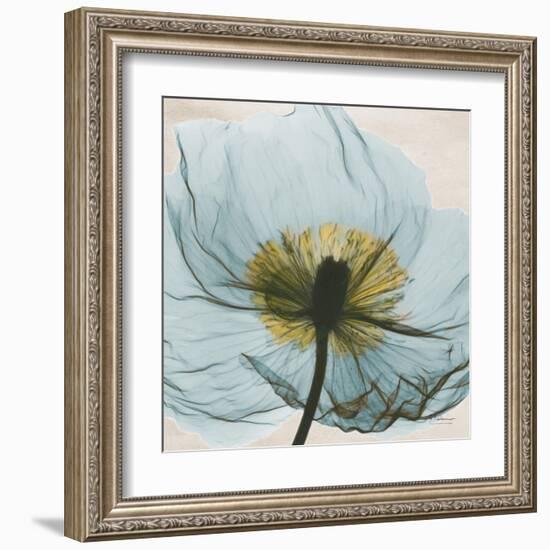 Poppy Close-Up-Albert Koetsier-Framed Art Print