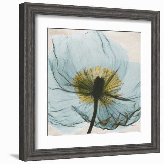 Poppy Close-Up-Albert Koetsier-Framed Art Print