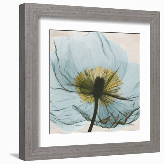 Poppy Close-Up-Albert Koetsier-Framed Art Print