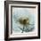 Poppy Close-Up-Albert Koetsier-Framed Art Print