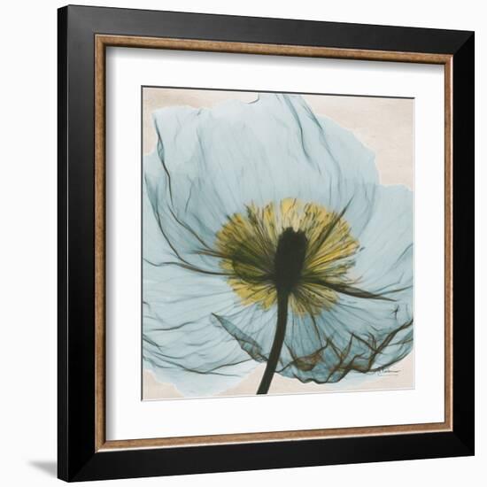 Poppy Close-Up-Albert Koetsier-Framed Art Print