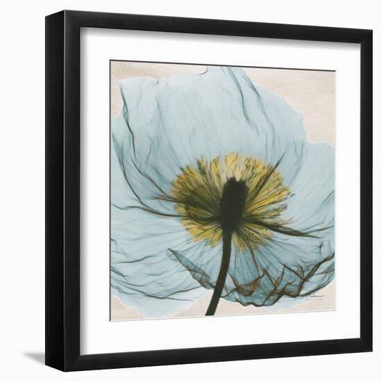 Poppy Close-Up-Albert Koetsier-Framed Art Print