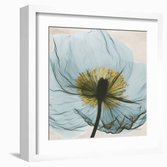 Poppy Close-Up-Albert Koetsier-Framed Art Print