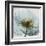 Poppy Close-Up-Albert Koetsier-Framed Art Print