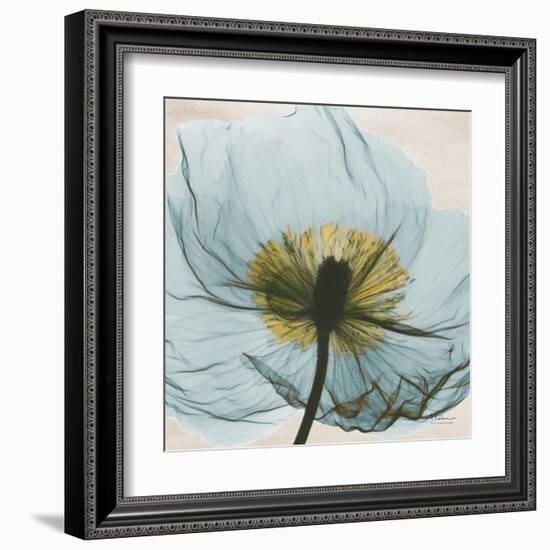 Poppy Close-Up-Albert Koetsier-Framed Art Print