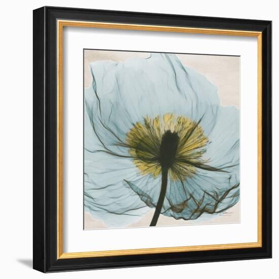 Poppy Close-Up-Albert Koetsier-Framed Art Print