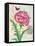 Poppy Collage-Pamela Gladding-Framed Stretched Canvas