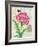 Poppy Collage-Pamela Gladding-Framed Art Print