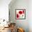 Poppy Dawn-James Worthington-Framed Giclee Print displayed on a wall