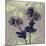 Poppy Fantasy I-Herb Dickinson-Mounted Photographic Print