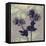 Poppy Fantasy I-Herb Dickinson-Framed Premier Image Canvas