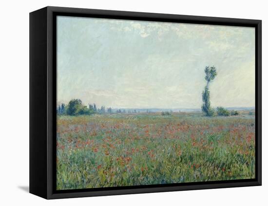 Poppy Field, 1881-Claude Monet-Framed Premier Image Canvas