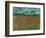 Poppy Field, 1890-Vincent van Gogh-Framed Giclee Print