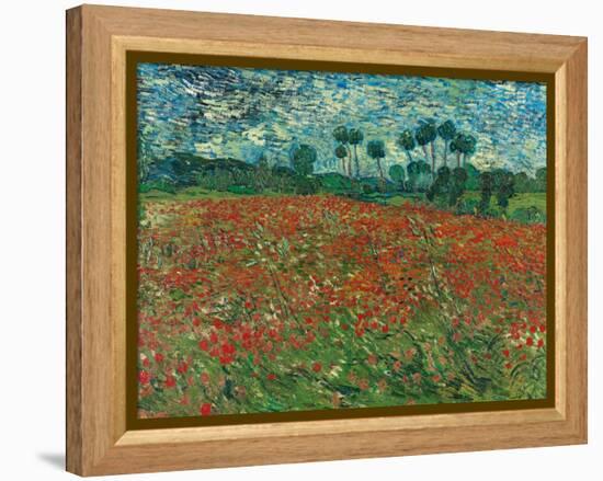 Poppy Field, 1890-Vincent van Gogh-Framed Premier Image Canvas