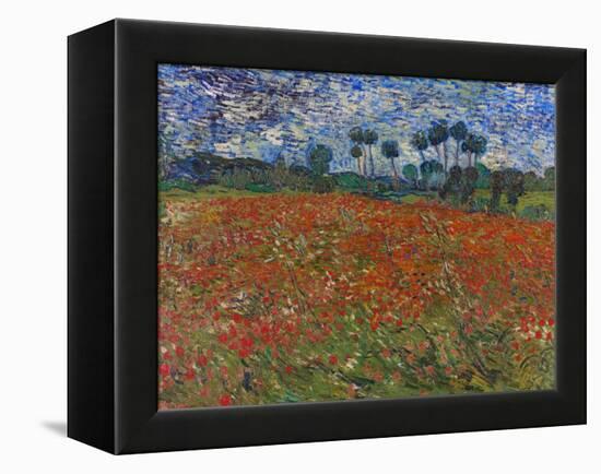 Poppy Field, 1890-Vincent van Gogh-Framed Premier Image Canvas