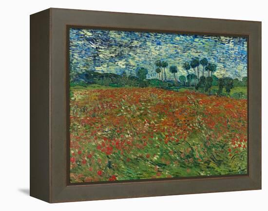 Poppy field. 1890-Vincent van Gogh-Framed Premier Image Canvas