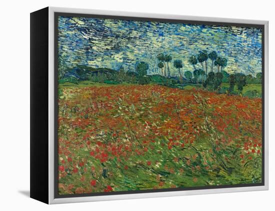 Poppy field. 1890-Vincent van Gogh-Framed Premier Image Canvas