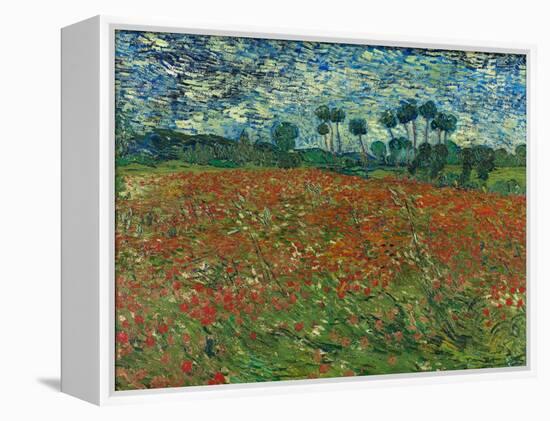 Poppy field. 1890-Vincent van Gogh-Framed Premier Image Canvas