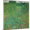 Poppy Field, 1907-Gustav Klimt-Mounted Giclee Print