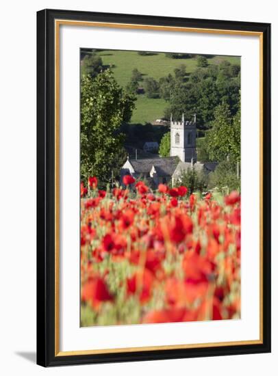 Poppy Field and St. Andrew's Church, Naunton, Cotswolds, Gloucestershire, England-Stuart Black-Framed Photographic Print