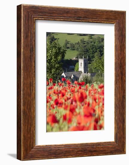 Poppy Field and St. Andrew's Church, Naunton, Cotswolds, Gloucestershire, England-Stuart Black-Framed Photographic Print