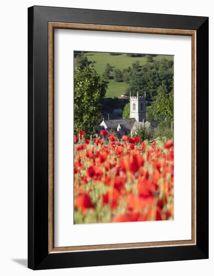 Poppy Field and St. Andrew's Church, Naunton, Cotswolds, Gloucestershire, England-Stuart Black-Framed Photographic Print