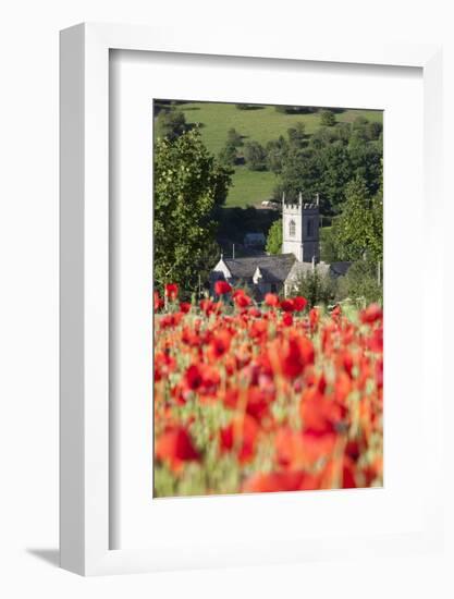 Poppy Field and St. Andrew's Church, Naunton, Cotswolds, Gloucestershire, England-Stuart Black-Framed Photographic Print