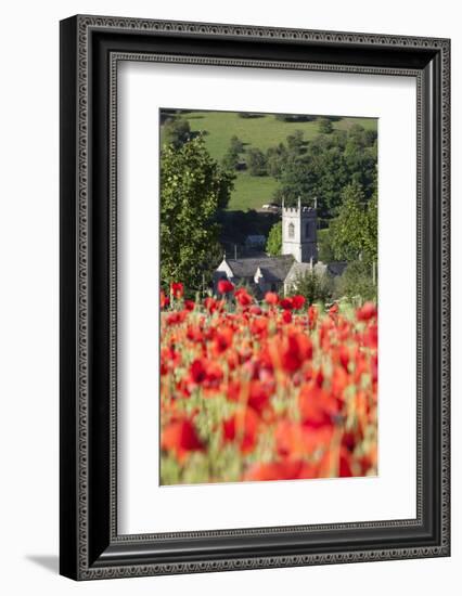 Poppy Field and St. Andrew's Church, Naunton, Cotswolds, Gloucestershire, England-Stuart Black-Framed Photographic Print